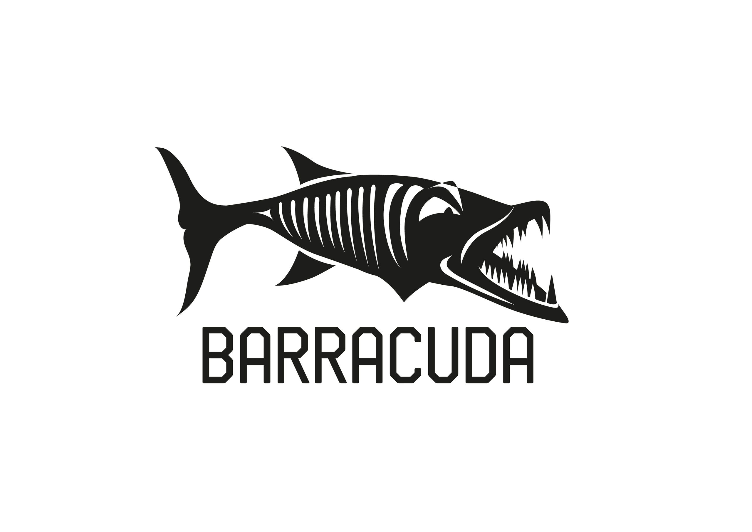 Barracuda